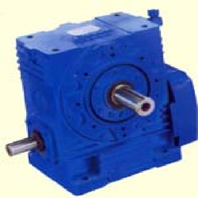 Elecon Worm Pair