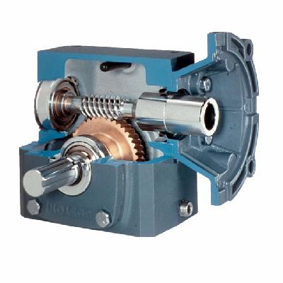Worm Reduction Gears