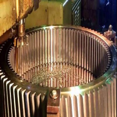 3000 mm Internal Gear