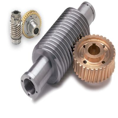 Pharma Machinery Worm and Worm Wheel