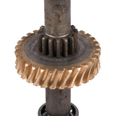 Worm Gear