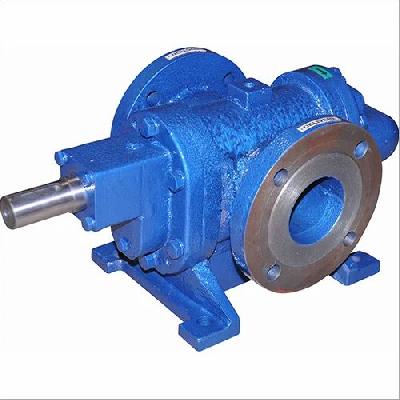 Pump S.S Double Helical Gear Set