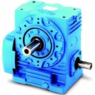 Elecon Worm Gear Boxes