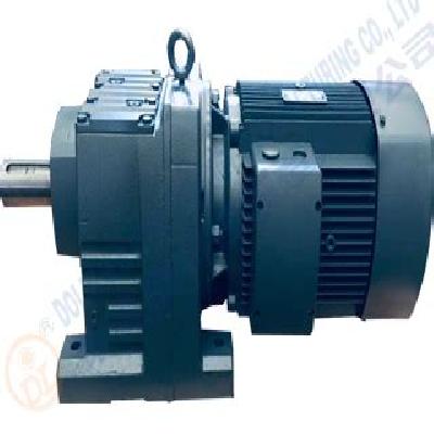 Gear Reducer Motor