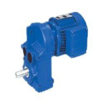 Parallel Shaft Helical Gear Motor