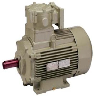 Hindustan Cooling Tower Motors