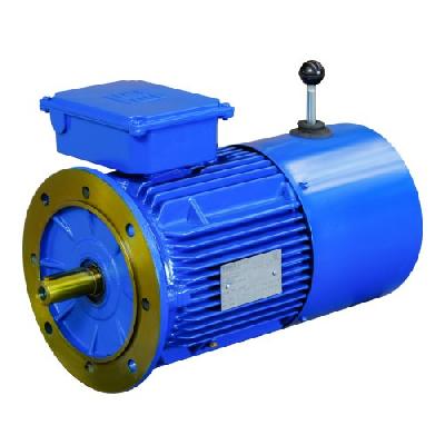 Hindustan Electric Brake Motors