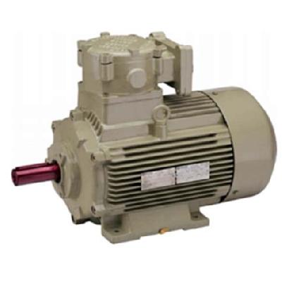 Hindustan Electric Motor