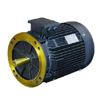 Hindustan High Efficiency Electric Motor