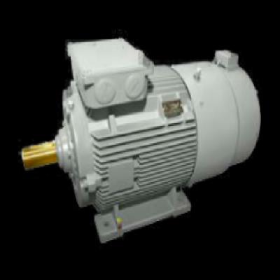 Hindustan Inverter Duty Motors