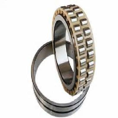 Precision Cylindrical Roller Bearing
