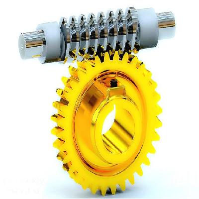 Worm Wheel