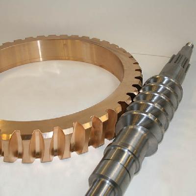 Worm Worm Wheel
