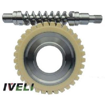 Nylon Worm Gear