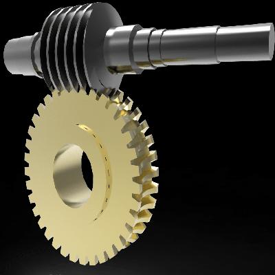 Stainless Steel Worm Gear