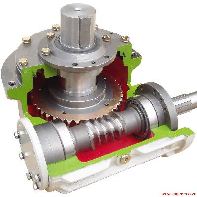W300 Worm Gear Drive