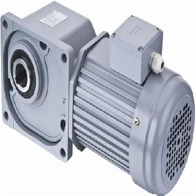 Hypoid Geared Motor