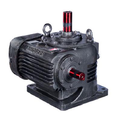 Vertical Worm Gear Box