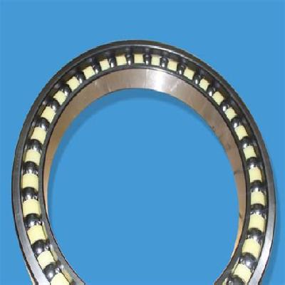 Excavator Bearings