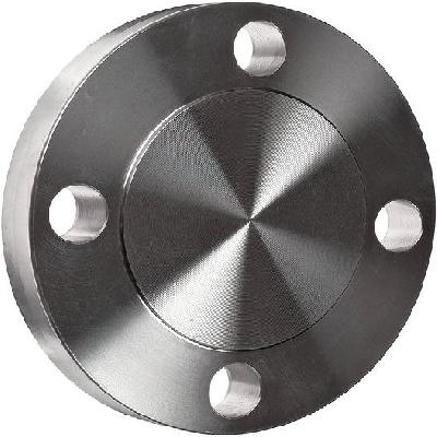 Mild Steel Flanges