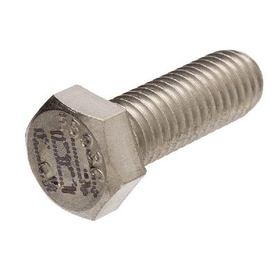 Stainless Steel Bolt