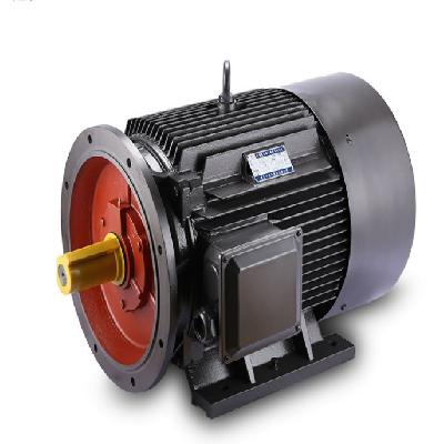 Asynchronous Three Phase Motors