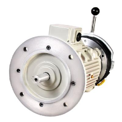 Crane And Hoist Duty Motors