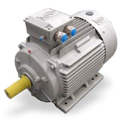 High Energy Efficient IE2 and IE3 Motors