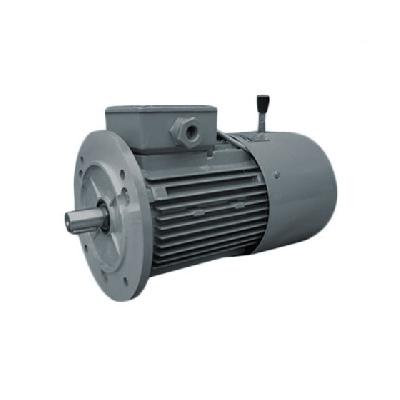 Three Phase Asynchronous Brake Motor