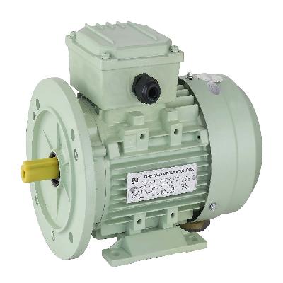 Three Phase Asynchronous Non Brake Motor