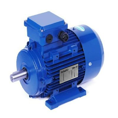 Three Phase Electric Motor
