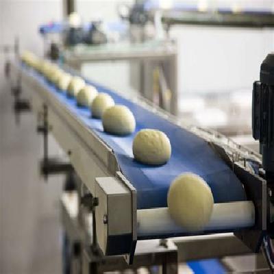 Dough Conveyor