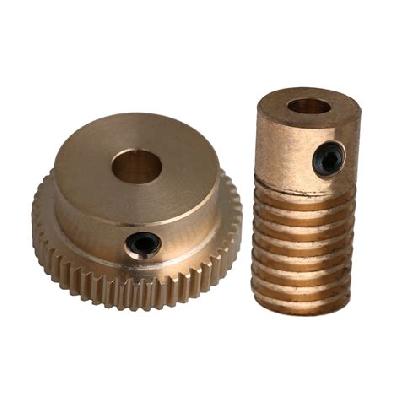 Phosphor Bronze Worm Gear