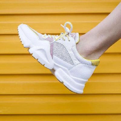 Pole Shoe