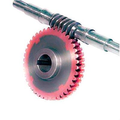 Duplex Worm Wheel
