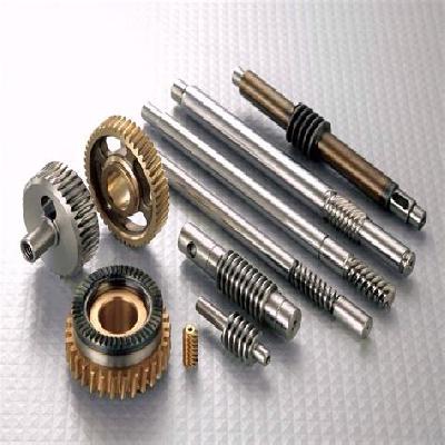 Worm Gear Shaft