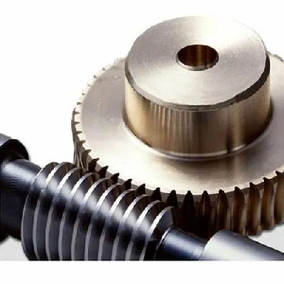Worm Wheel