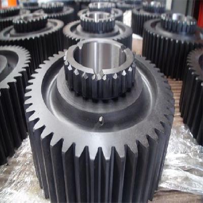 MS Industrial Spur Gear