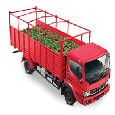 Mahindra Furio 11 Container