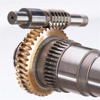 Worm Gears For Machine Tools