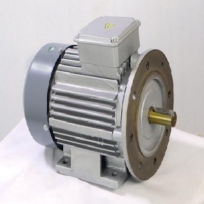 0.5 HP Foot Cum Flange Mounted Motor