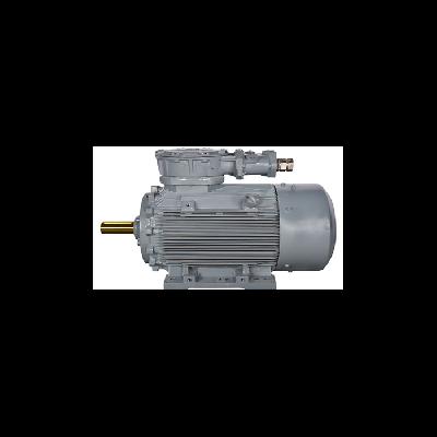6 Pole Hindustan High Efficiency Motor