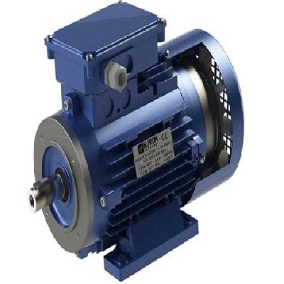 AC Electric Motors