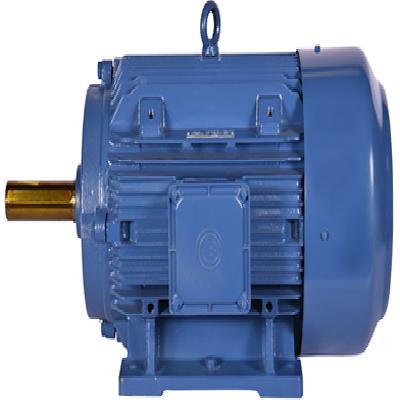 Bharat Bijlee Crane And Hoist Duty AC Motors