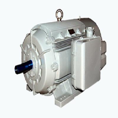 Bharat Bijlee IE2 Electric Motor