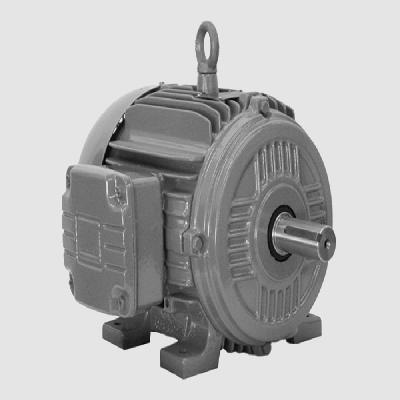Cooling Tower Motor -Standard 