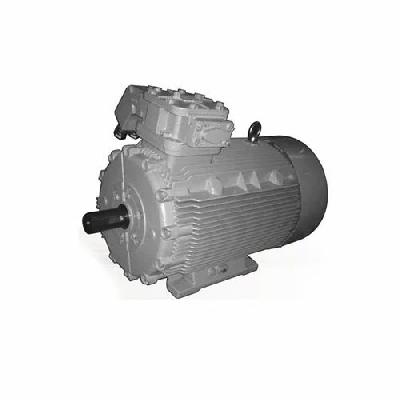 Crompton Flame Proof Electric Motors