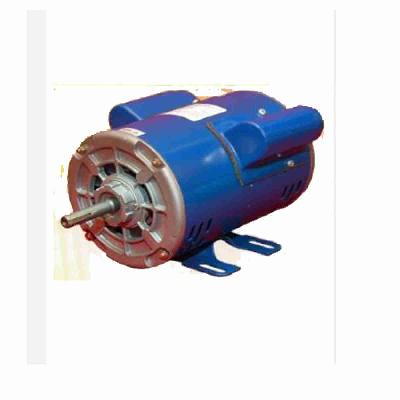 Crompton Industrial Motors