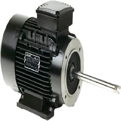 DC Brake Motor