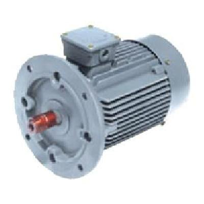 Flange Mounted 3 Phase Motor